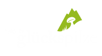   Tyroler Glückspilze